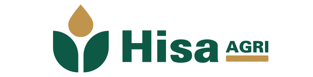 hisa web